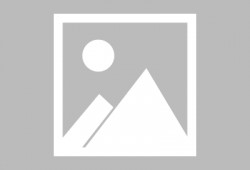 最新最全版本爆料